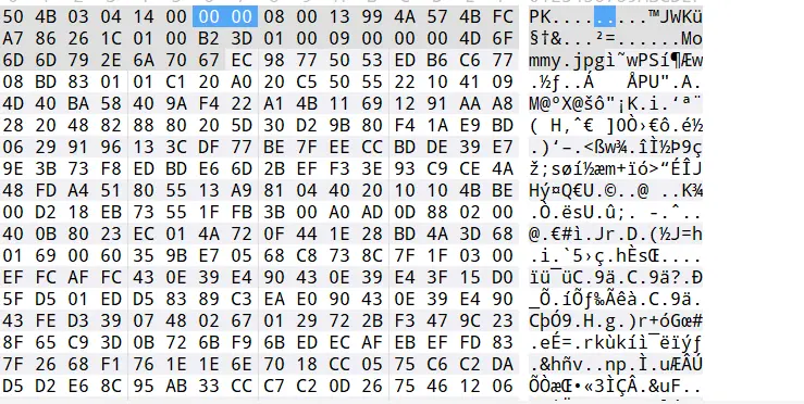 image-20231014205505932